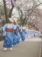 Lễ diễu hành múa Hanami